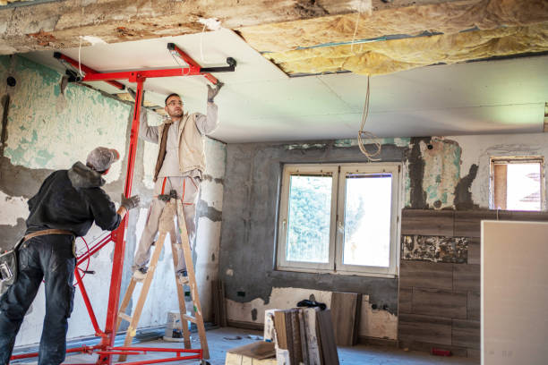 Best Insulation Replacement Services  in Selma, NC