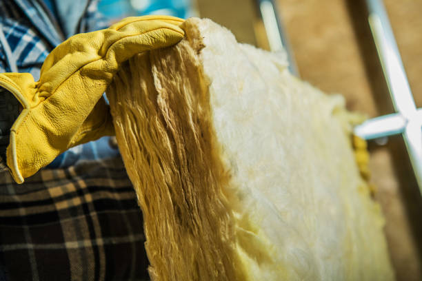 Best Cellulose Insulation  in Selma, NC