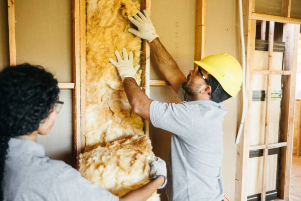 Best Insulation Removal  in Selma, NC