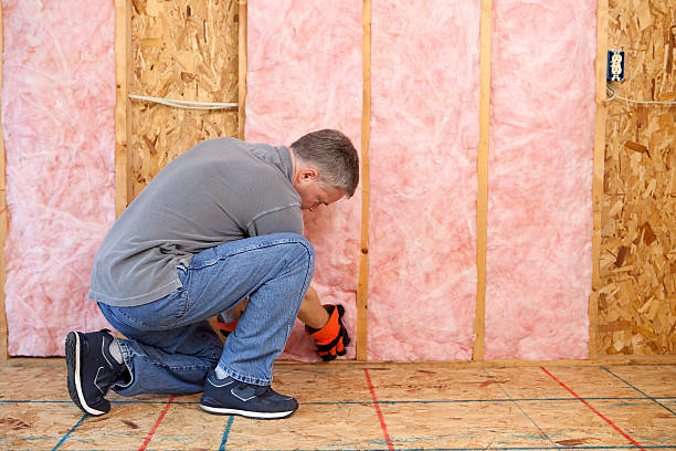 Best Insulation Contractor Near Me  in Selma, NC