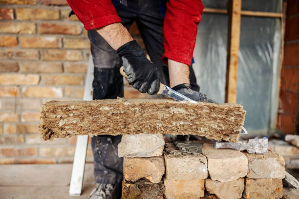 Best Insulation Contractor Near Me  in Selma, NC