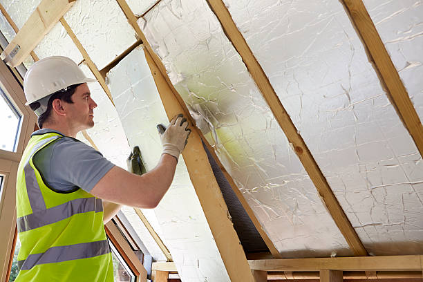 Best Fiberglass Insulation  in Selma, NC